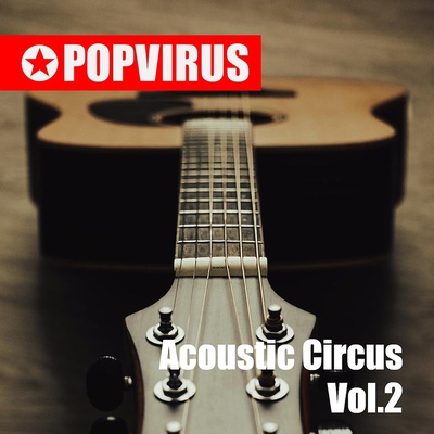 Acoustic Circus Vol.2