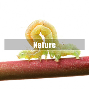 ★ Finest Of Nature
