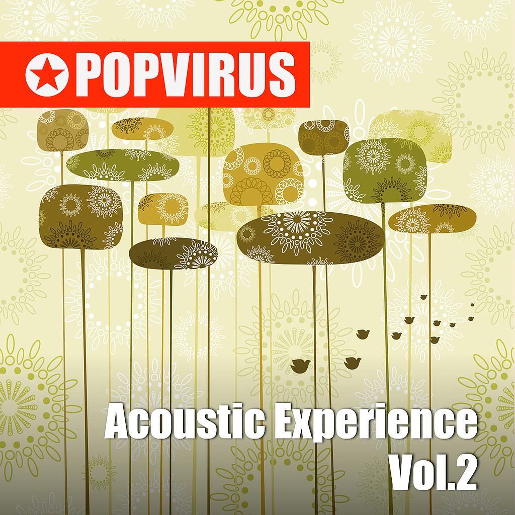 Acoustic Experience Vol.2