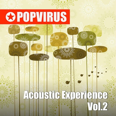 Acoustic Experience Vol.2